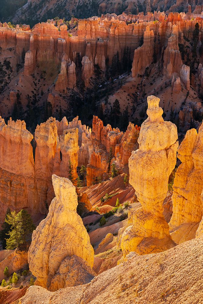 Sunrise at Bryce Canyon National Park, Utah